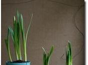 Hacer farolillos con botes de cristal - Paperblog