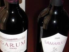 tierras jerezanas mano Bodega Luis Pérez