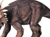 Styracosaurus