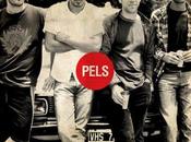 Hurón P.E.L.S Kioskerman