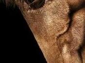 Zoo: falso documental despierta emociones reales