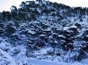 Pais nieves aguas