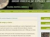 Proyecto Forestal Ibérico