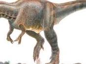 Megalosaurus