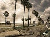Palmas 2012: