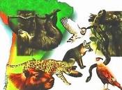Animales extinguidos recientemente