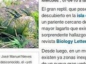 Hemipenes, varanos lepidodendrones