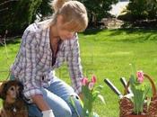 jardineria