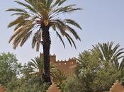Palmeral Skoura
