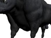Toros bravos contra elefantes