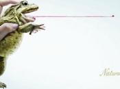 Publicidad creativa