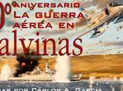 Guerra Malvinas