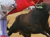 Sobre corridas toros