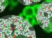 Prometedor ensayo clínico nanopartículas contra cáncer