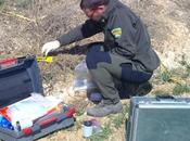 Agentes Protección Naturaleza Gobierno Aragón localizan cebos envenenados municipio Binéfar