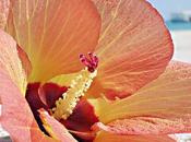 Energías Abril 2012