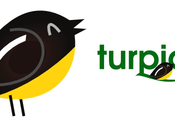 CONOCIENDO CANAIMA: Turpial