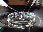 Limites reproducción asistida