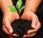 Datos para elaborar compost