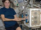 Seis ratones 'astronautas' para estudiar pérdida masa ósea
