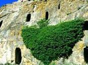 Alia "gurfas", cerca África