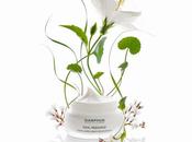 Ideal Resource Alisante Antifatiga Darphin