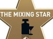Disaronno Mixing Star 2012