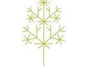 ¡¡Participa!! Consigue ritual belleza Mádara Ecocosmetics