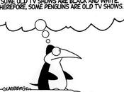 Silogismo Pingüino