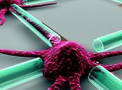 Conectar Neuronas Ordenadores