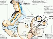 Lactancia: proceso libre demanda