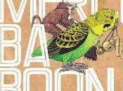 Mercí Baboon Mercì (2013)