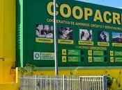 Coopacrene llama asambleas simultáneas para elegir delegados comunidades representa.
