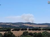 Controlado incendio forestal entre Robledillo Mohernando Malaguilla