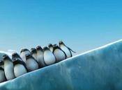 ventaja viajar grupos