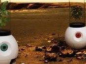 Robots invernaderos Marte