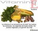 Vitamina mejora Esteatohepatitis