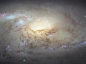 galaxia espiral M106