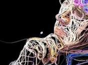 (425) internet modifica cerebro gente