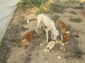 Estan calle pesimas condiciones!.