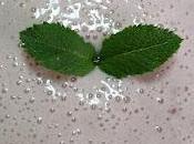 Despidiendo temporada fresas: Batido fresas leche