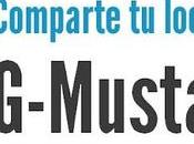 MTNG-Mustang Chicismo