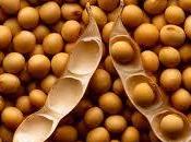 Para reducir colesterol puede empezar natural