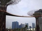 Bosque artificial Singapur