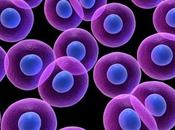 Crioconservación células madre para todos!