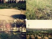 búsqueda inspiración