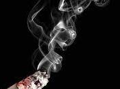 exposición humo cigarrillo predisposición enfermedades
