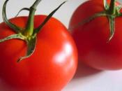 ¿Debemos seguir pagando unos tomates compramos?