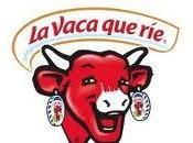 vaca