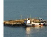 Xunta instala tercera batea para depuración Ferrol